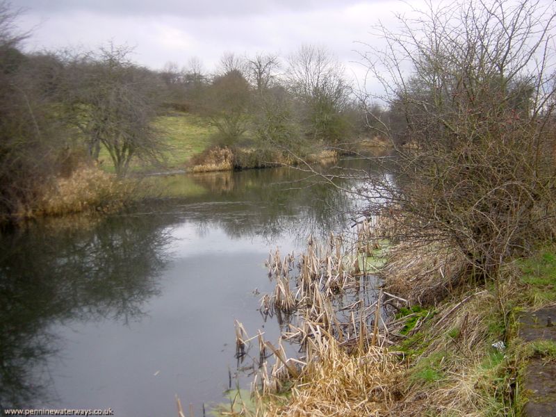 Barnsley Canal