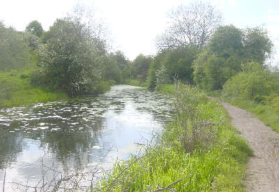 Barnsley Canal