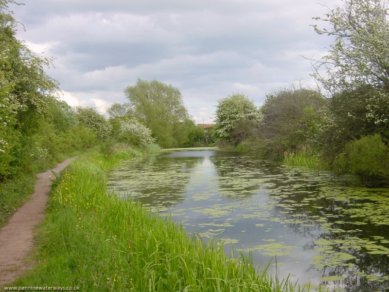 Barnsley Canal