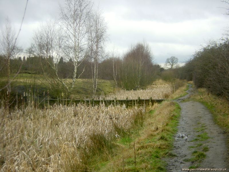 Barnsley Canal