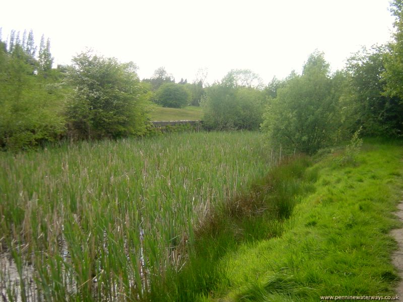 Barnsley Canal