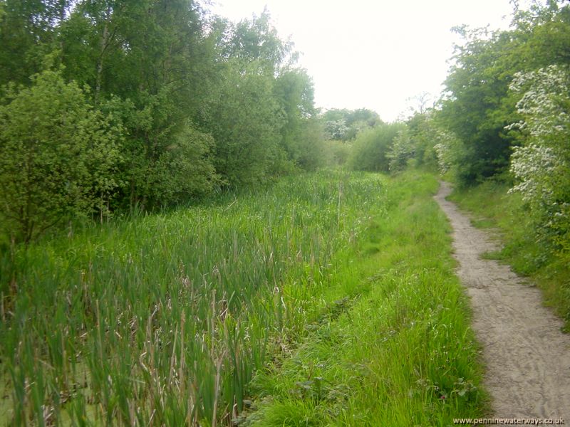 Barnsley Canal