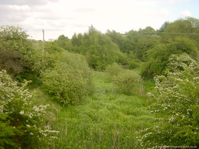 Barnsley Canal