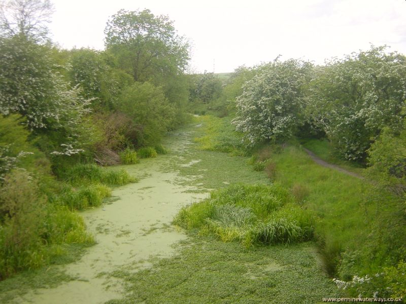 Barnsley Canal