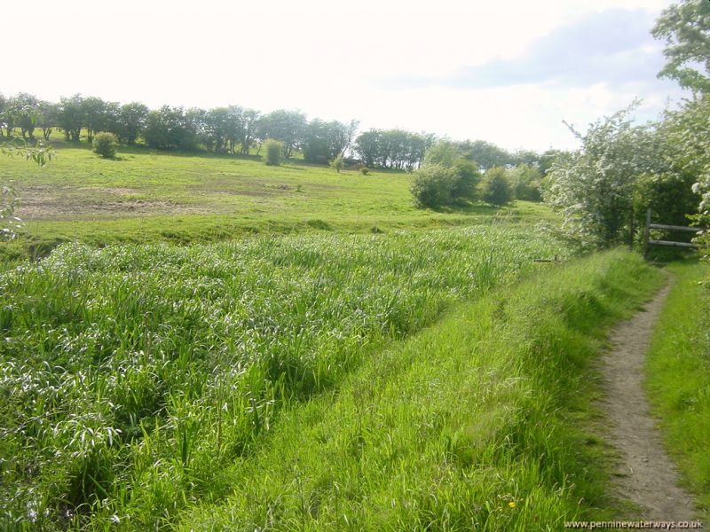 Barnsley Canal