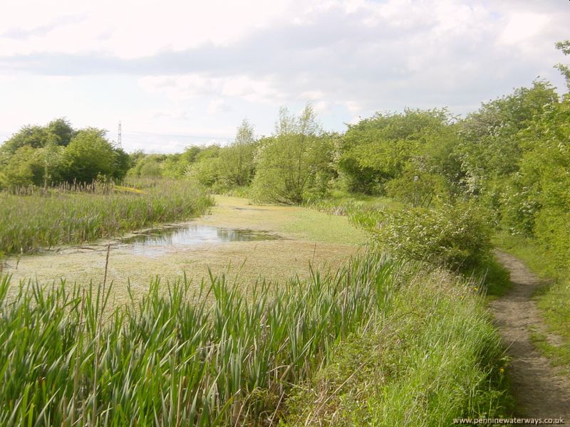 Barnsley Canal