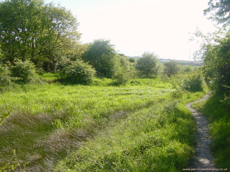 Barnsley Canal