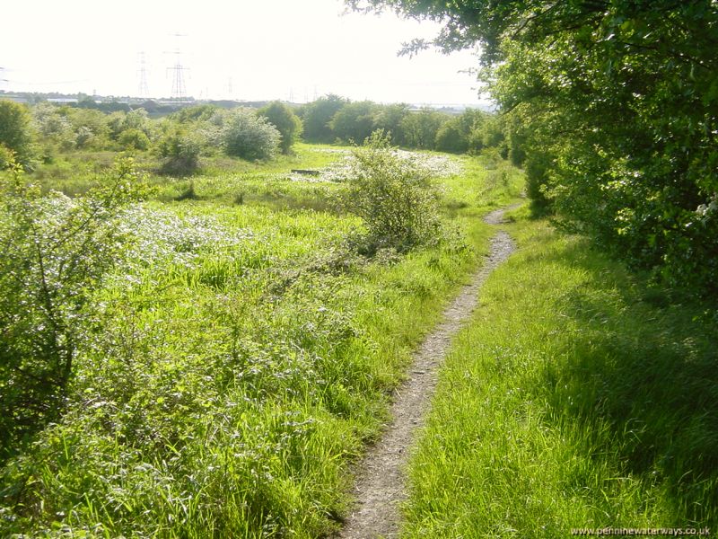 Barnsley Canal