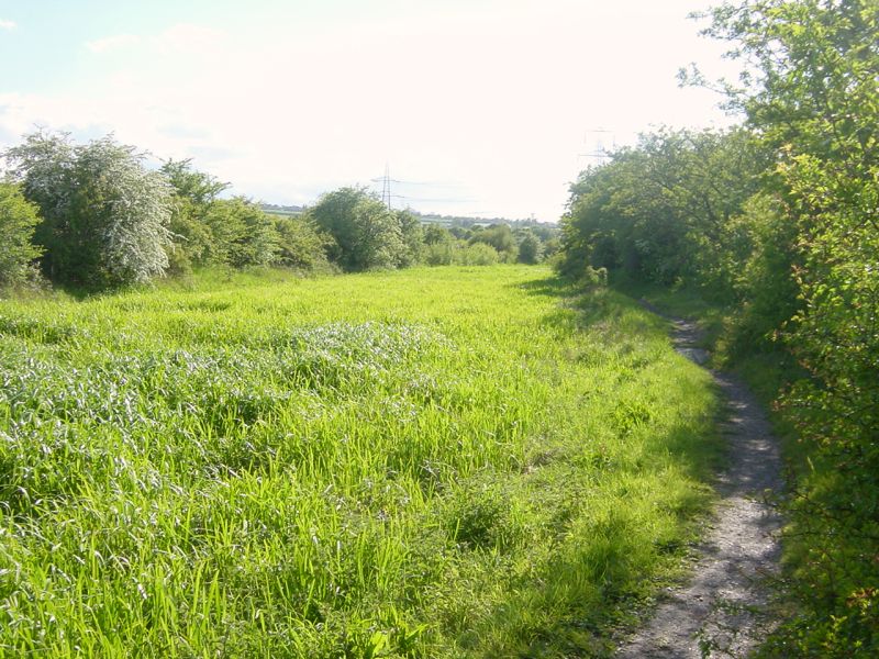 Barnsley Canal