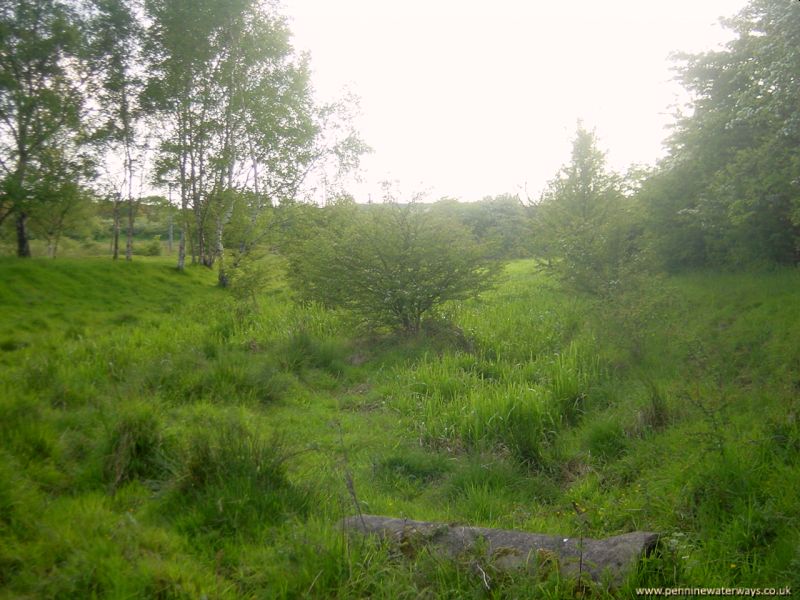 Barnsley Canal