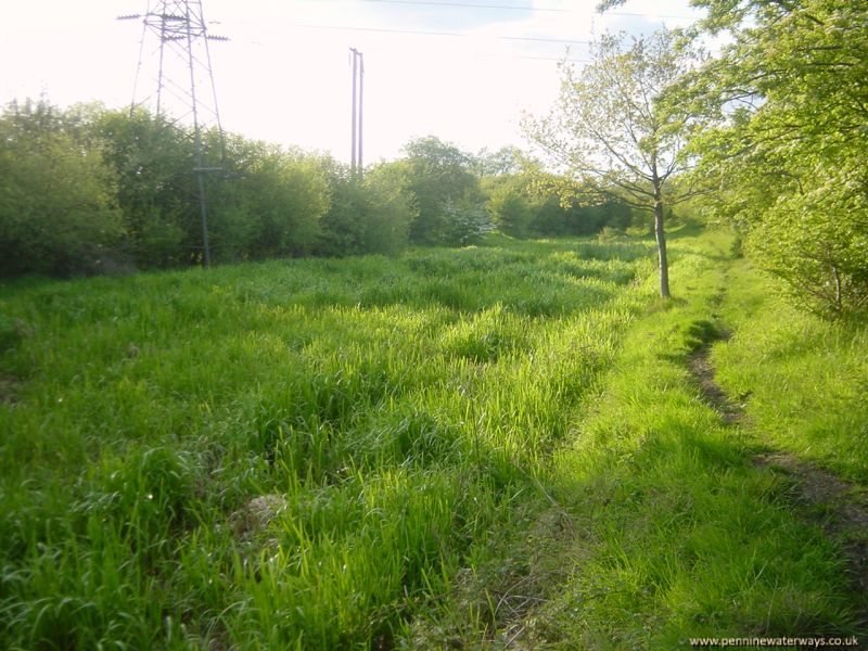 Barnsley Canal