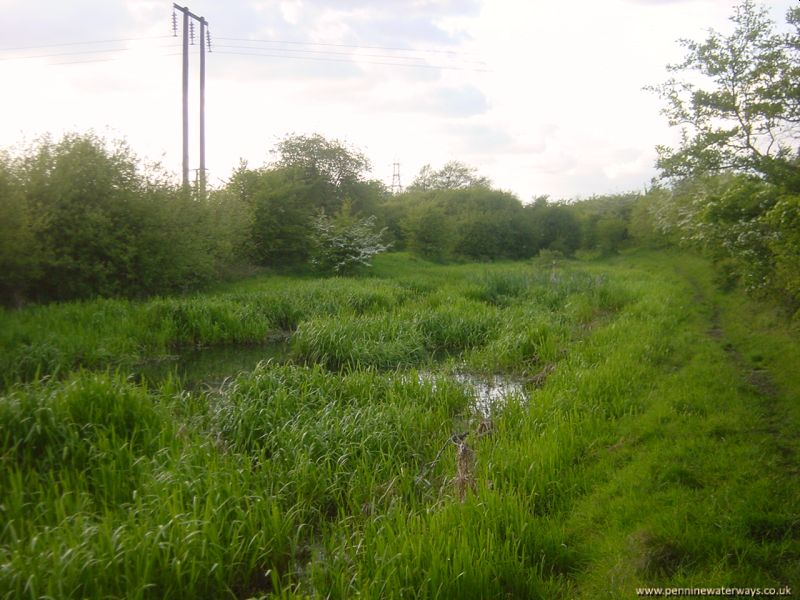 Barnsley Canal