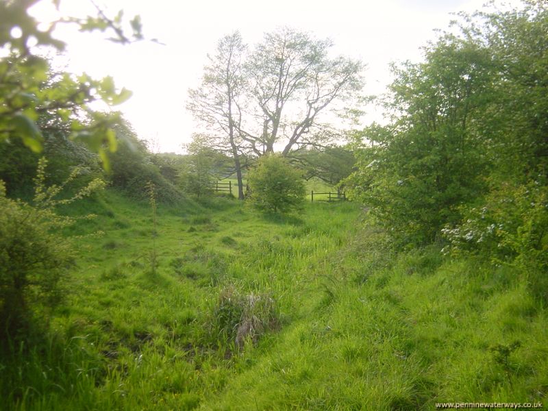 Barnsley Canal