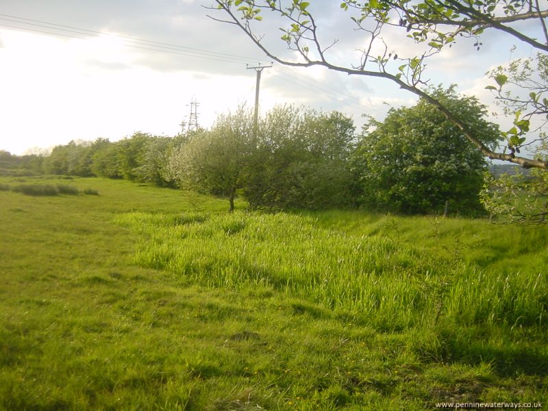 Barnsley Canal