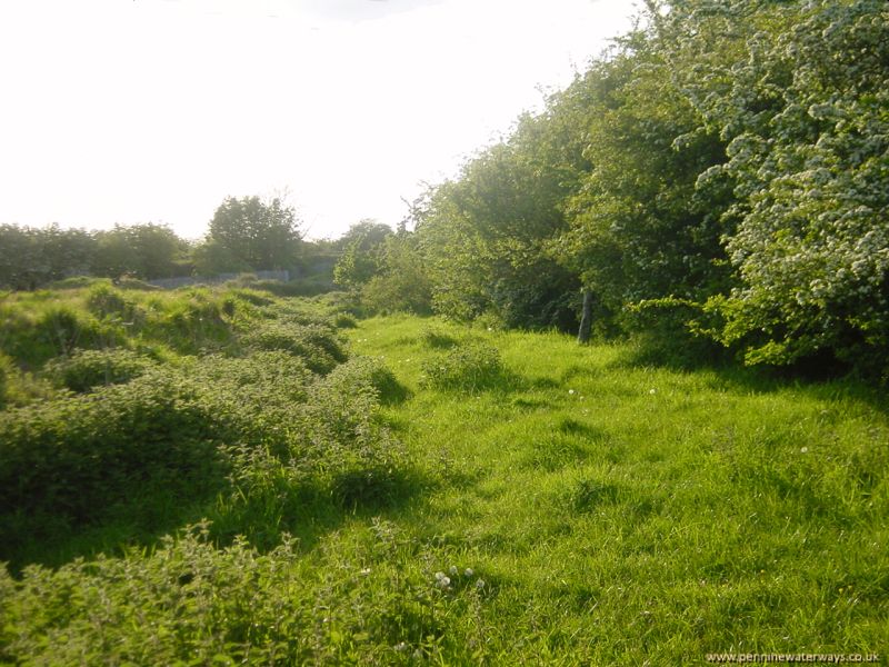 Barnsley Canal