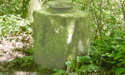 Pulley, Barnsley Canal