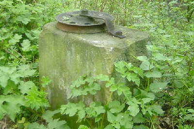 Pulley, Barnsley Canal