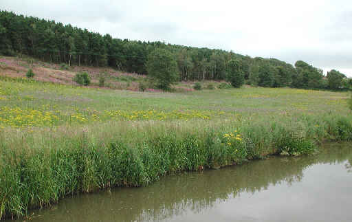 Daresbury on the Bridgewater Canal