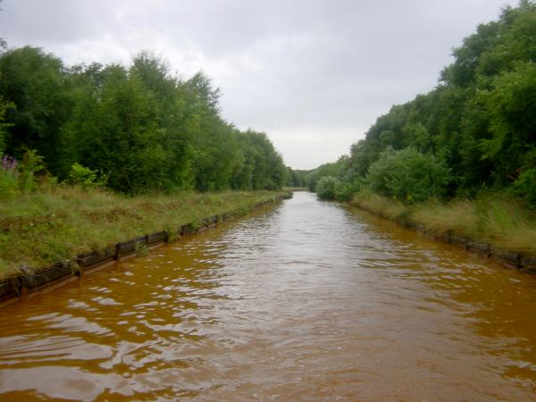near Bittern Pits Wood, Bridgewater Canal
