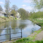 Dearne and Dove Canal