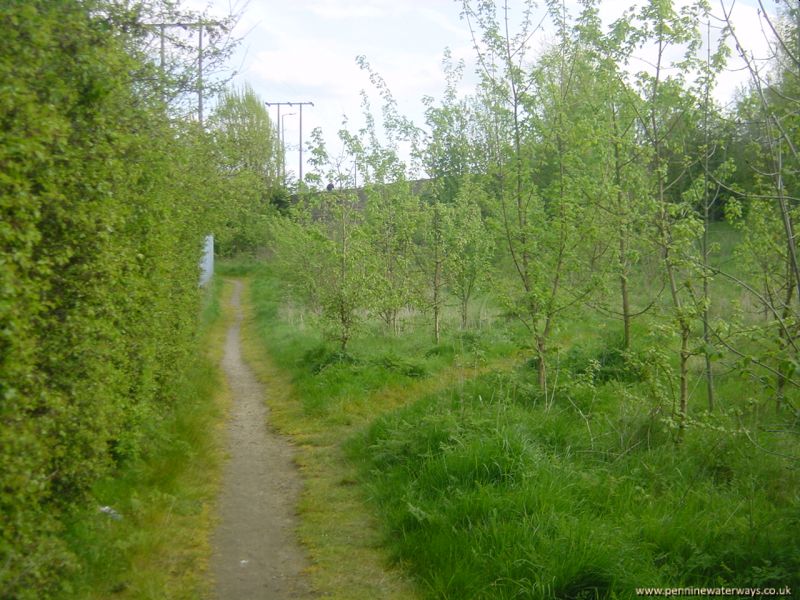 Common Bridge, Dearne and Dove Canal