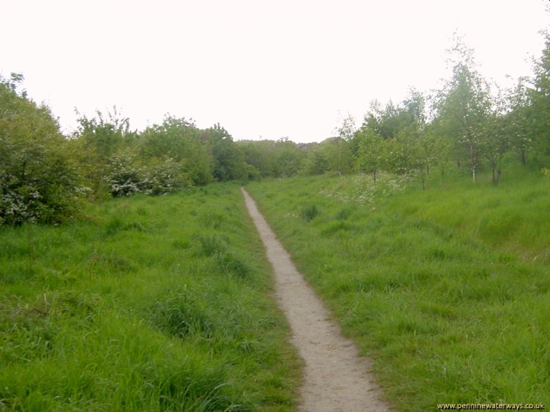 Wath, Dearne and Dove Canal