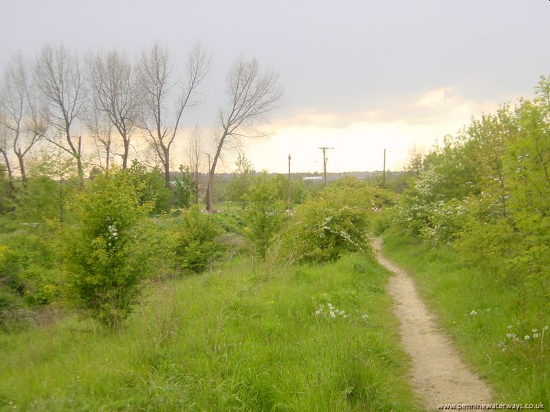 Brampton, Dearne and Dove Canal