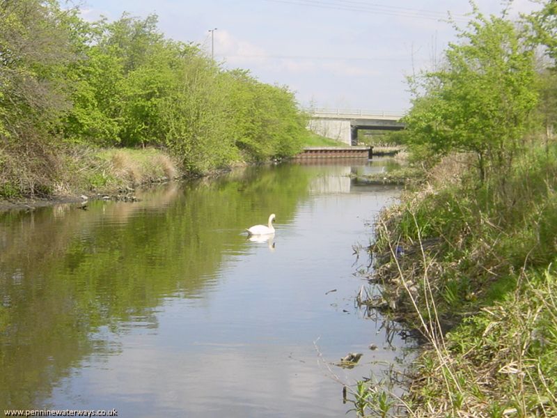 Elsecar Branch, Dearne and Dove Canal