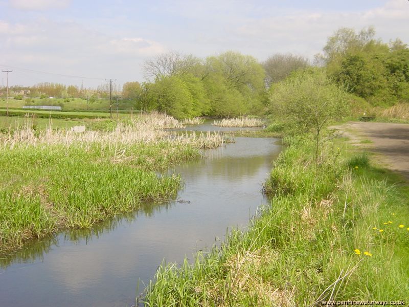 Elsecar Branch, Swinton, Dearne and Dove Canal