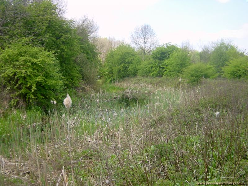 Wombwell, Dearne and Dove Canal