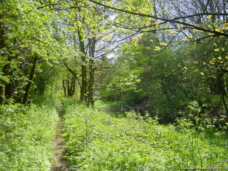 Wombwell, Dearne and Dove Canal