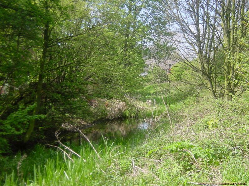 Wombwell, Dearne and Dove Canal