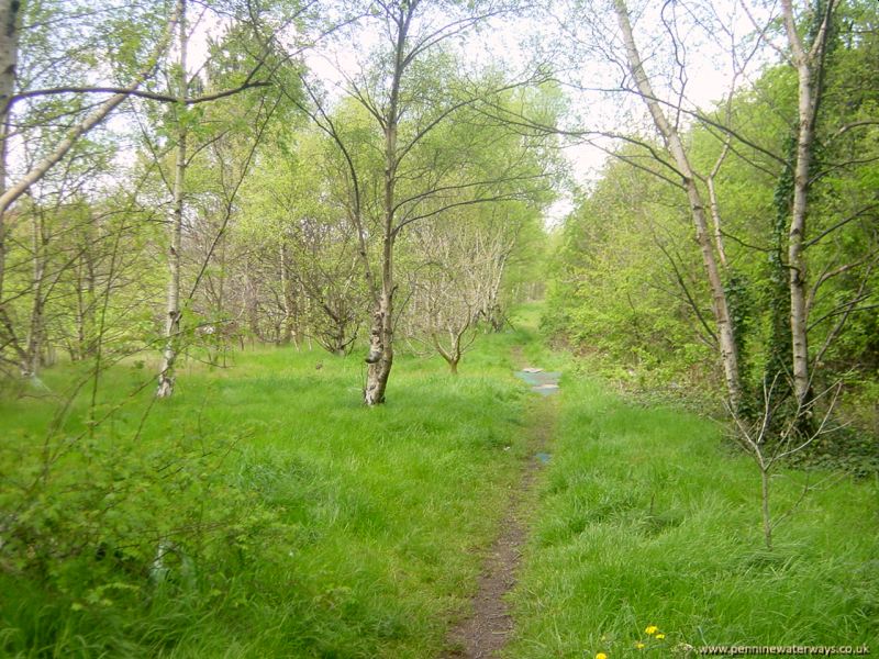 Wombwell, Dearne and Dove Canal