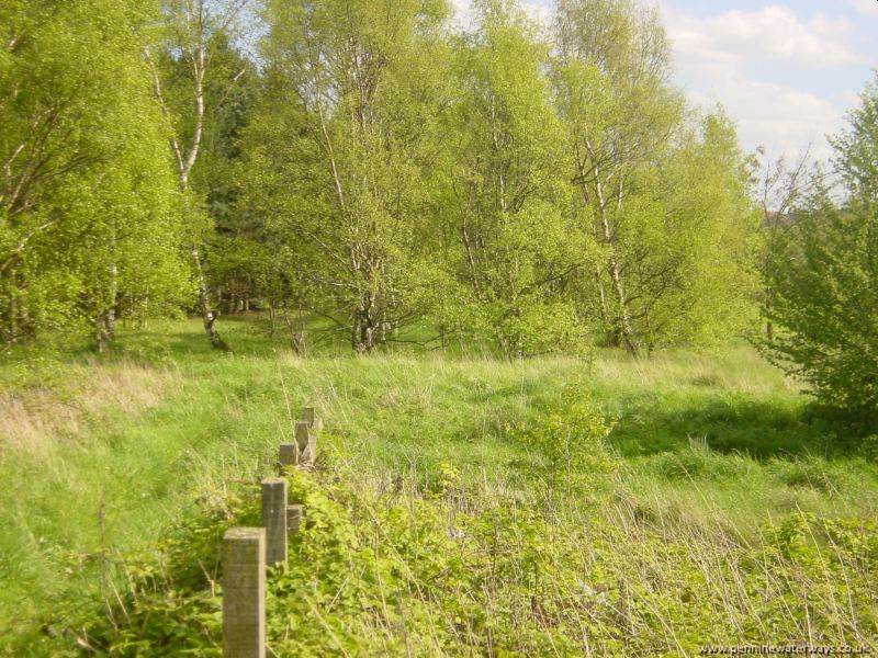 Wombwell, Dearne and Dove Canal