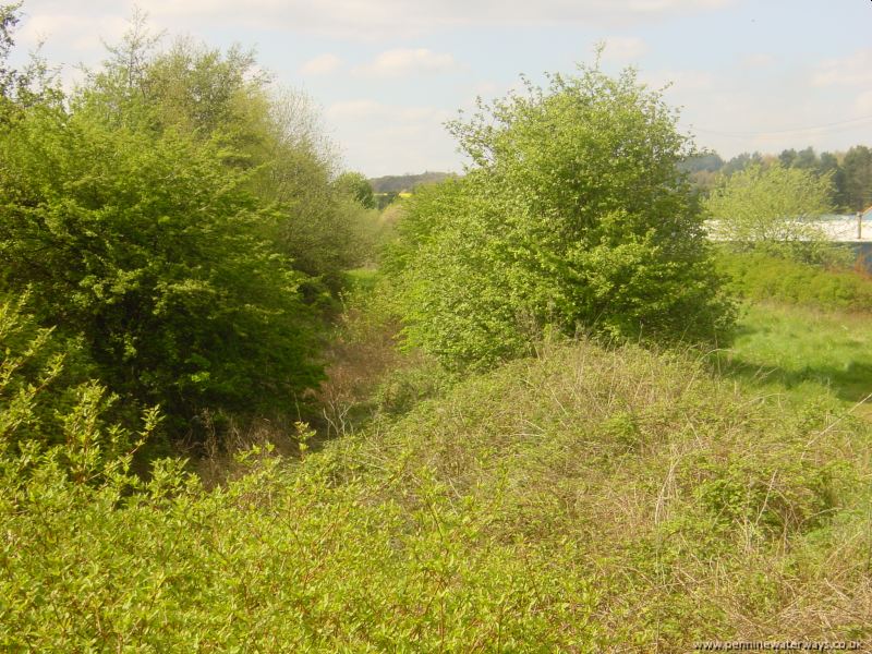 Wombwell, Dearne and Dove Canal