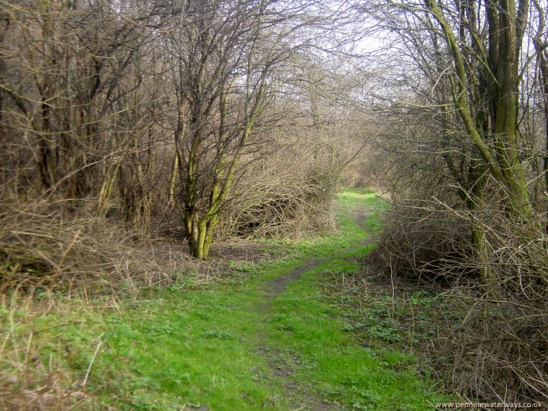 Stairfoot Locks, Dearne and Dove Canal