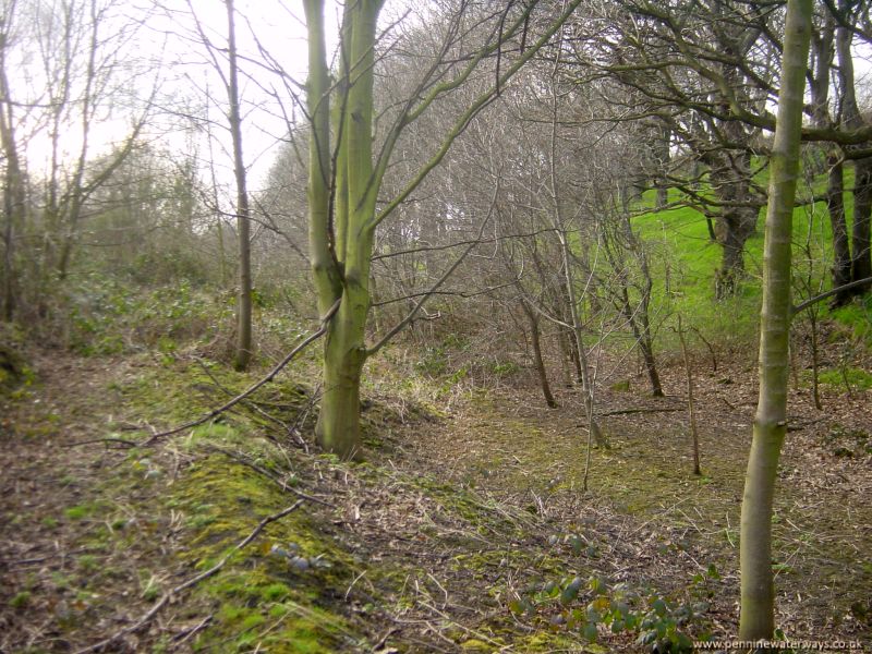 Worsborough Branch, Dearne and Dove Canal