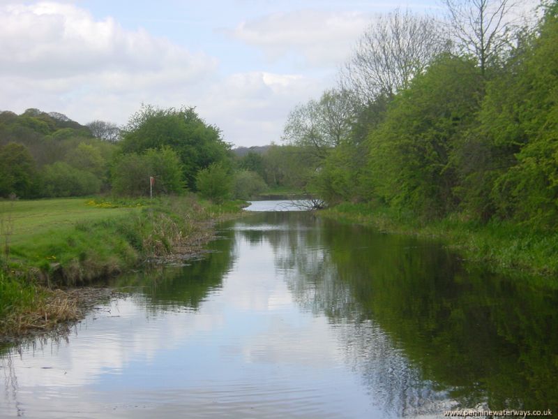 Worsborough Branch, Dearne and Dove Canal