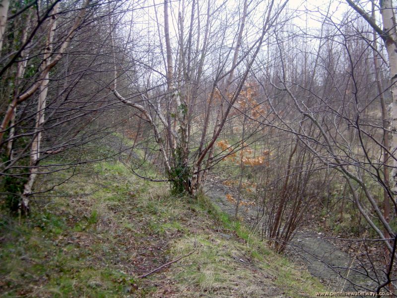 Oaks, Dearne and Dove Canal