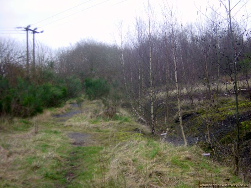 Oaks, Dearne and Dove Canal