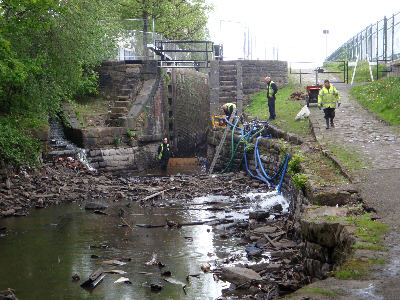 Ashton Canal Lock 8