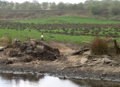 Damaged bank