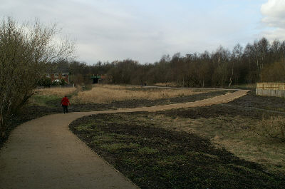 Ince and Strangeways Branch Canal