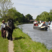 Horseboating to Liverpool