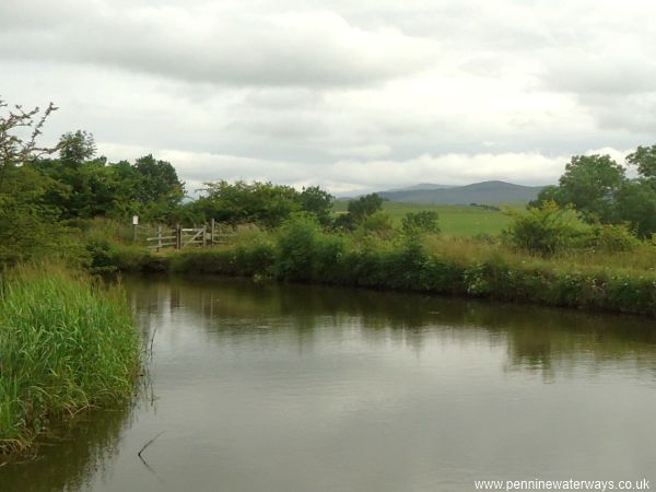near Trenet Laithe near Trenet Laithe