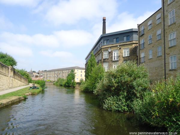 Bingley Bingley