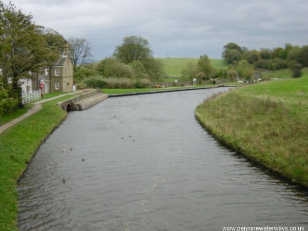 Greenberfield Greenberfield