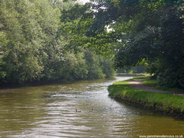 Haigh Hall Country Park