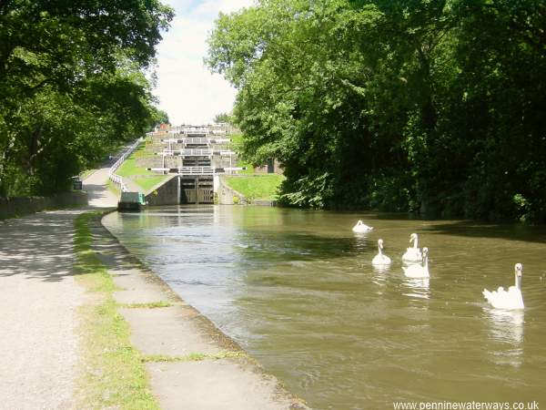 Bingley 5-rise staircase locks Bingley 5-rise staircase locks