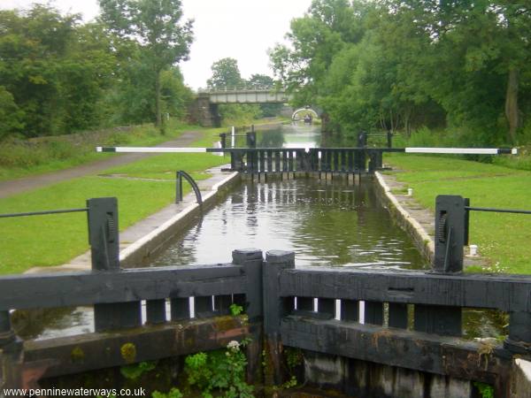 Stegneck Lock